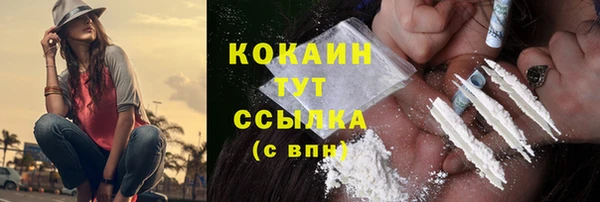 мдпв Инсар