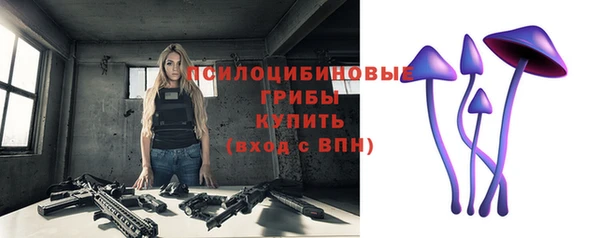 метадон Инта