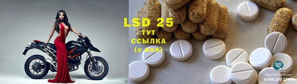ешки Заводоуковск