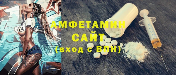 мдпв Инсар