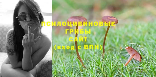 мдпв Заволжье