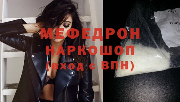 мдпв Инсар
