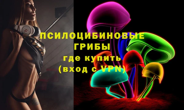 мдпв Заволжье