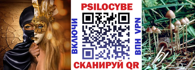 Псилоцибиновые грибы мицелий  Купить закладки  Вышний Волочёк 